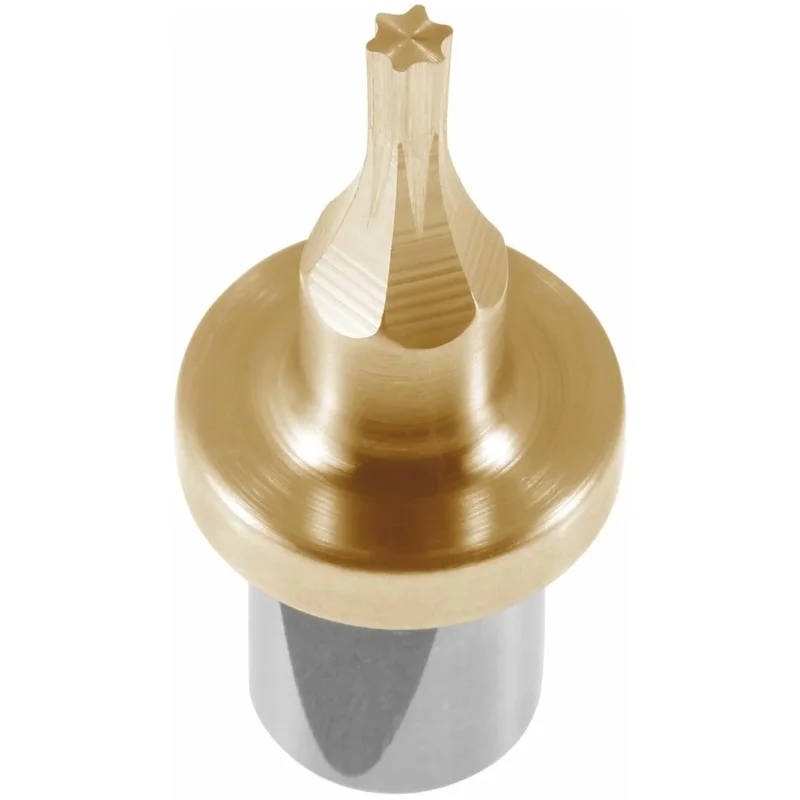 Reapris Kolv för Torx® ⌀ d = 8 mm TiN