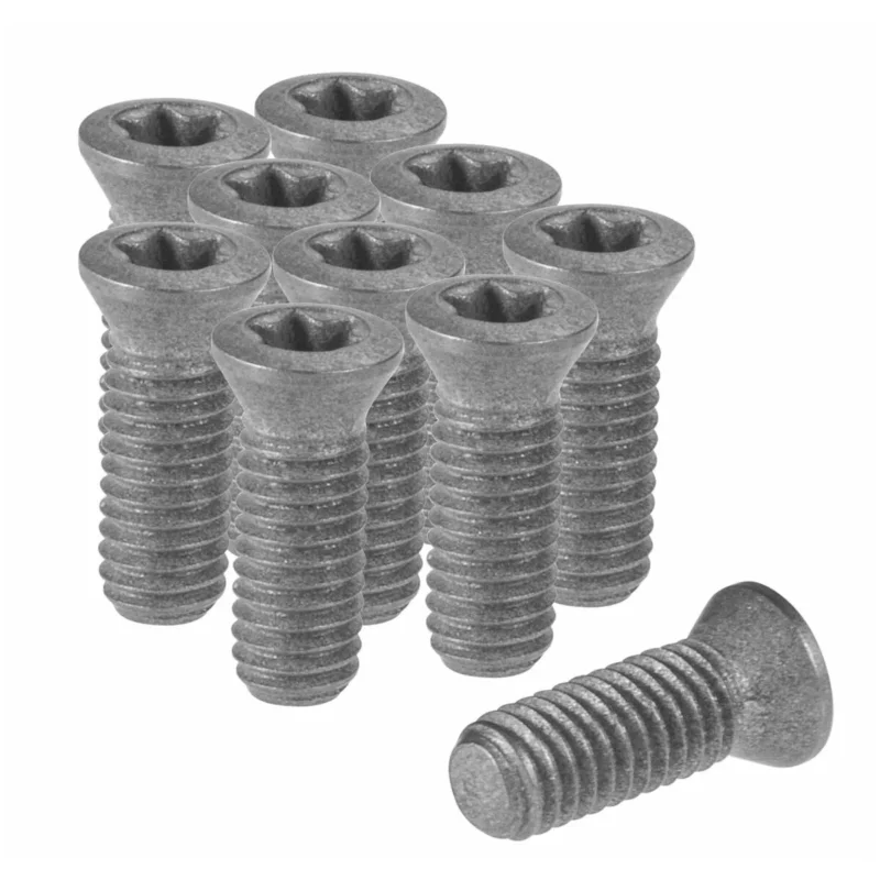 Populärt val Torx-skruvset VTX30, 10 delar 1