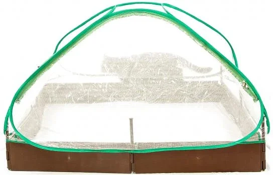 Premium Plastväxthus, 115 x 115 x 60 cm litet odlingstält för utomhusbruk, växthustält med transparent folie