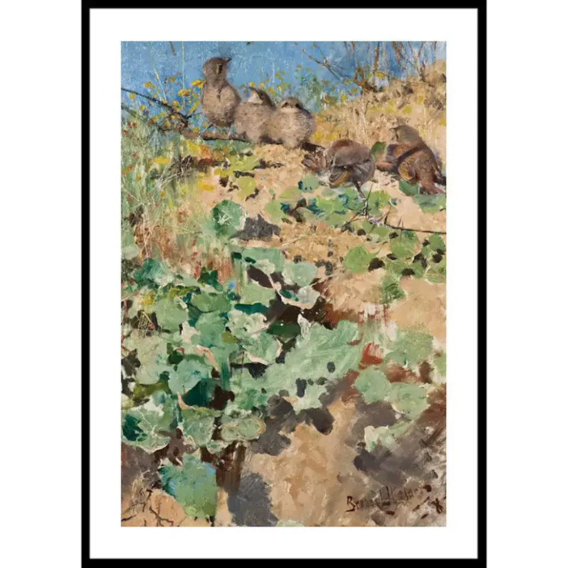 Poster Gallerix Törnskateungar By Bruno Liljefors Endast idag