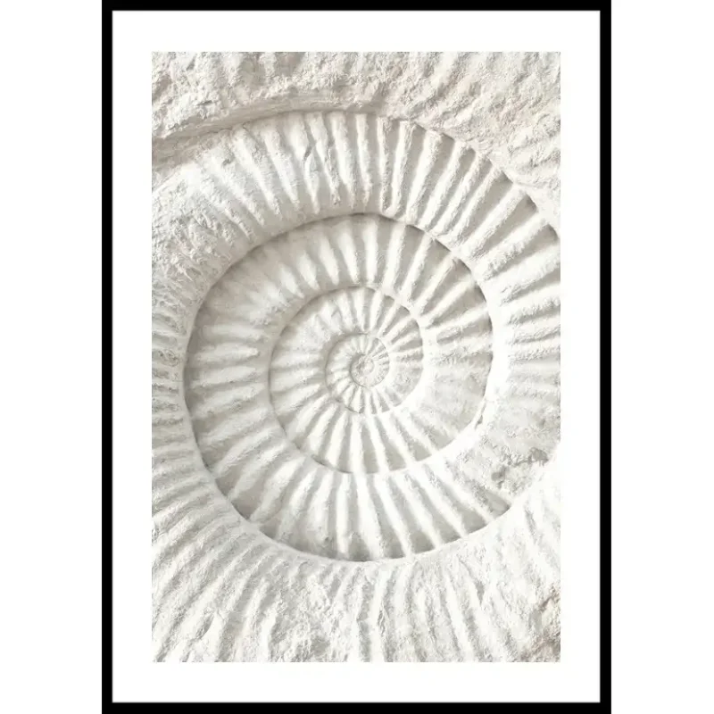 Lägg i varukorgen Poster Gallerix The Nautilus Carving21x30 cm