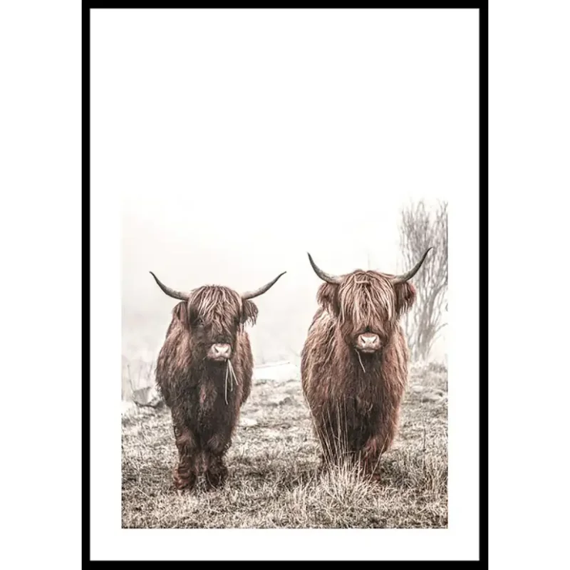 Trygg betalning Poster Gallerix Scottish Highlanders No3