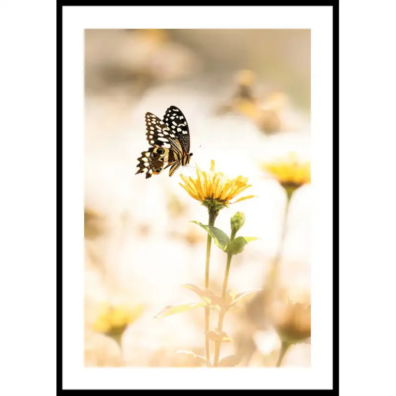 Handla nu Poster Gallerix Butterfly Bliss21x30 cm