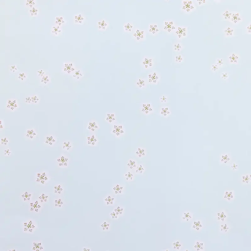 Tapet Mimou Falling Flowers Sky Snabb frakt